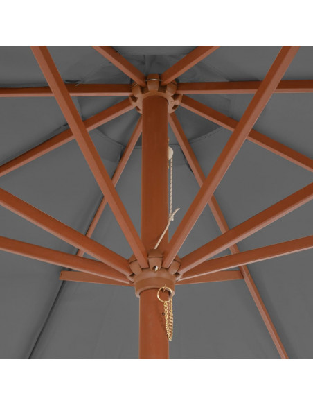 Ombrellone da Esterni con Palo in Legno 300 cm Antracite