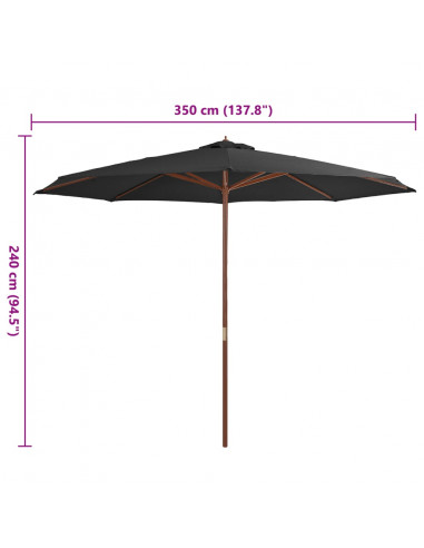 Ombrellone da Esterni con Palo in Legno 350 cm Antracite