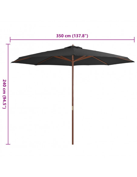 Ombrellone da Esterni con Palo in Legno 350 cm Antracite