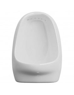 Orinatoio Sospeso con Sciacquone in Ceramica Bianco