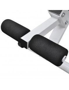 Panca di Allenamento Fitness