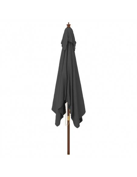 Ombrellone Giardino con Palo in Legno Antracite 300x300x273 cm