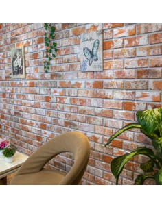 Pannelli Murali 3D con Design a Mattoni Rossi 10 pz EPS