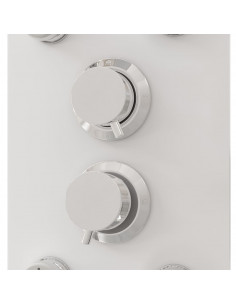 Pannello Doccia in Vetro 25x47,5x130 cm Bianco