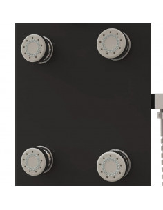 Pannello Doccia in Vetro 25x47,5x130 cm Nero