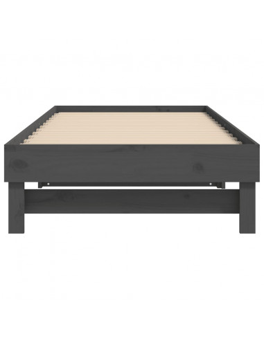 Dormeuse Estraibile Grigia 2x(90x200) cm Legno Massello di Pino
