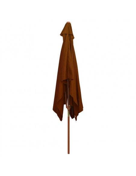 Ombrellone da Esterni con Palo in Legno 200x300 cm Terracotta