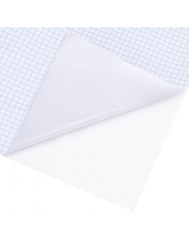 Pellicola per finestre Bianco satinato 90x500 cm PVC