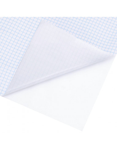 Pellicola per Finestra Smerigliata Grigia 45x2000 cm PVC