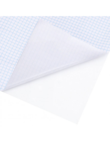 Pellicola per Finestra Smerigliata Trasparente 60x1000 cm PVC