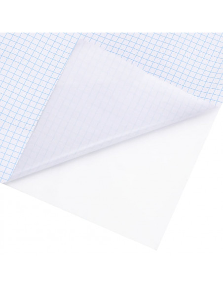 Pellicola per Finestra Smerigliata Trasparente 60x2000 cm PVC