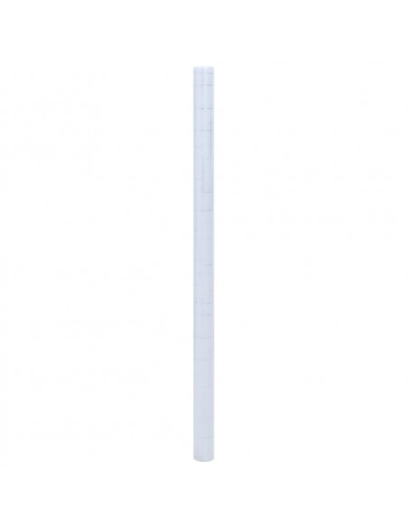 Pellicole per Finestre Smerigliate 2pz Motivo Stella in PVC