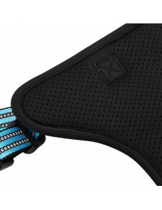 Pettorina per Cani con Guinzaglio e Collare Regolabile Blu XL