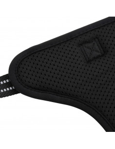 Pettorina per Cani con Guinzaglio e Collare Regolabile Nero L