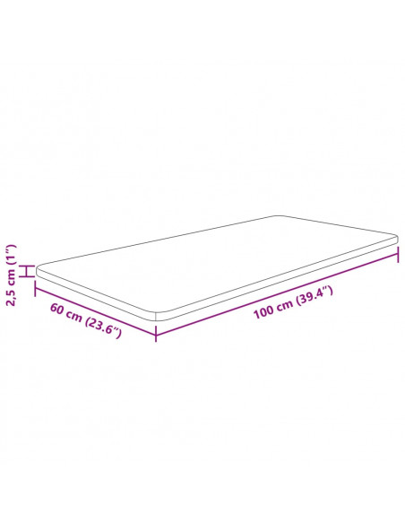 Piano Bagno 100x60x2,5 cm in Legno Massello Non Trattato