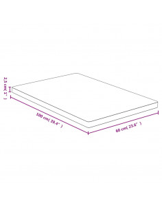 Piano del Tavolo 60x100x2,5 cm in Bambù
