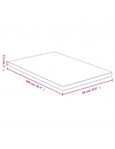Piano del Tavolo 60x100x2,5 cm in Bambù