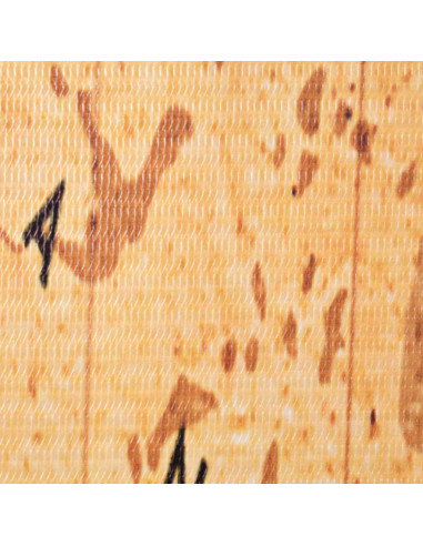 Paravento Pieghevole 160x170 cm Stampa Mappa del Mondo Giallo