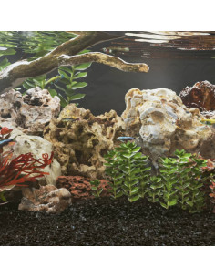 Pietre del Drago 10 kg Marroni 5-30 cm