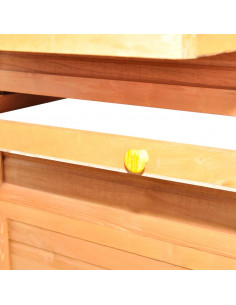 Pollaio in Legno 295x163x170 cm