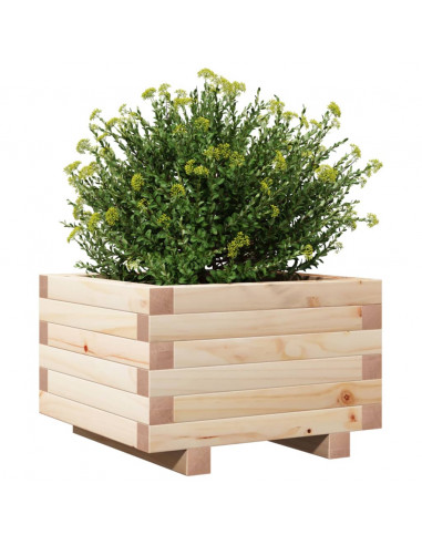 Fioriera da Giardino 40x40x26,5 cm in Legno Massello di Pino