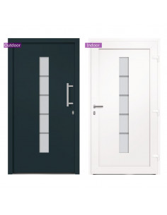 Porta d'Ingresso in Alluminio e PVC Antracite 110x210 cm