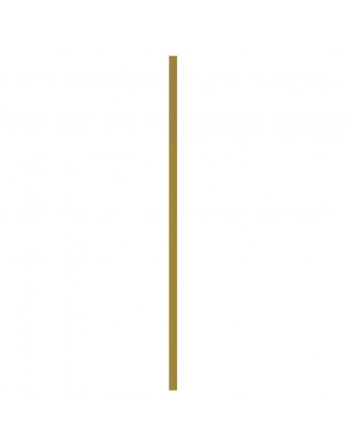 Maniglie per Mobili 5pz Oro 480mm in Acciaio Inox