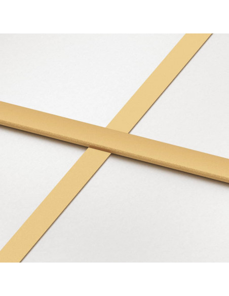 Porta Scorrevole Dorata 76x205 Vetro Smerigliato ESG Alluminio