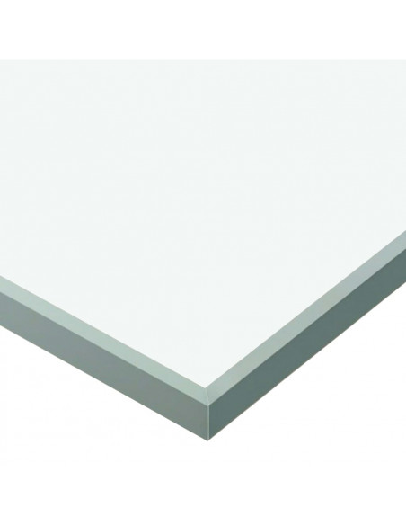 Porta Scorrevole Fermi Vetro ESG e Alluminio Argento 90x205 cm