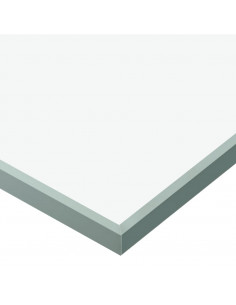 Porta Scorrevole in Vetro ESG e Alluminio 90x205cm Argento