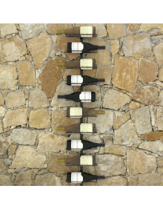 Portavini da Parete per 10 Bottiglie Nero in Metallo