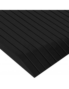 Rampe per Soglia 2 pz 110x41x5 cm in Gomma