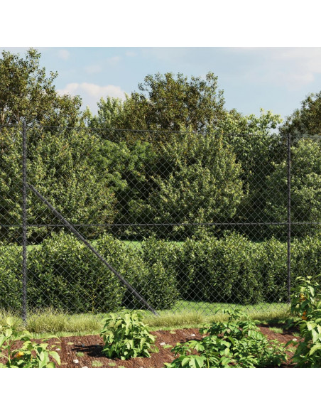 Recinzione a Rete con Picchetti Ancoraggio Antracite 1,6x25 m