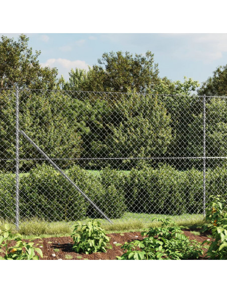 Recinzione a Rete con Picchetti Ancoraggio Argento 1,6x10 m