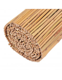 Recinzione in Bambù 500x30 cm