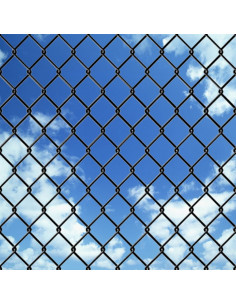 Recinzione in Rete in Acciaio 25x0,8 m Grigio