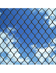 Recinzione in Rete in Acciaio 25x1 m Grigio