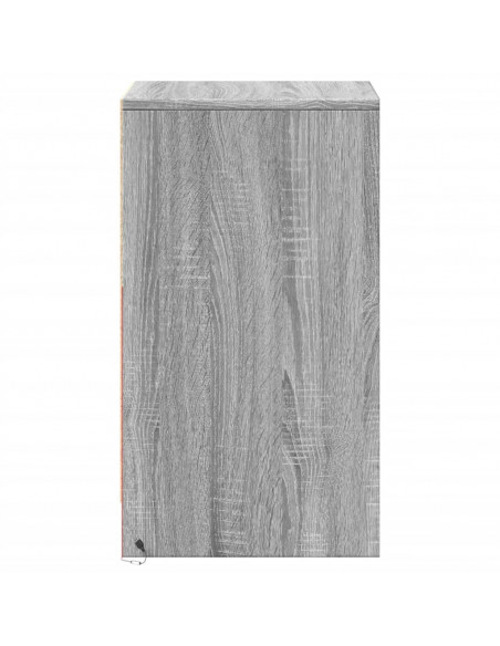 Comodino con Luci LED Grigio Sonoma in Legno Multistrato