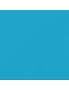 Rimorchio da Bici Nero e Blu 30 kg in Ferro