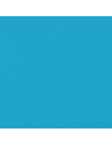 Rimorchio da Bici Nero e Blu 30 kg in Ferro