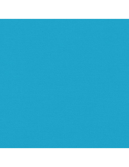 Rimorchio da Bici Nero e Blu 30 kg in Ferro
