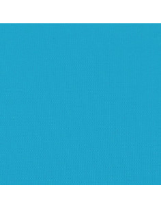 Rimorchio da Bici Nero e Blu 45 kg in Ferro