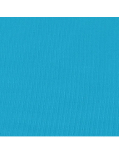 Rimorchio da Bici Nero e Blu 45 kg in Ferro