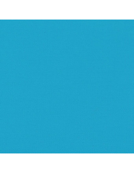 Rimorchio da Bici Nero e Blu 45 kg in Ferro