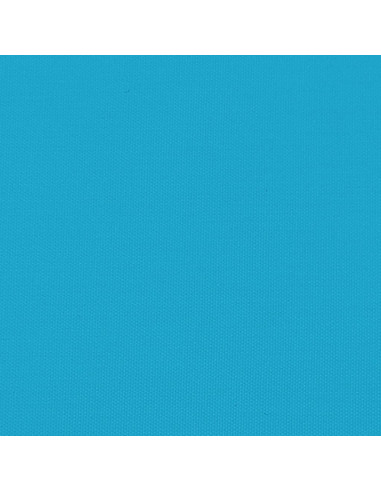 Rimorchio da Bici Nero e Blu 45 kg in Ferro