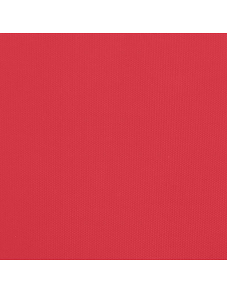 Rimorchio da Bici Nero e Rosso 30 kg in Ferro