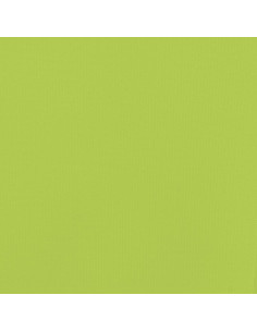 Rimorchio da Bici Nero e Verde 30 kg in Ferro