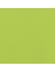 Rimorchio da Bici Nero e Verde 45 kg in Ferro