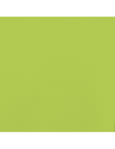 Rimorchio da Bici Nero e Verde 45 kg in Ferro