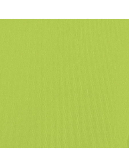 Rimorchio da Bici Nero e Verde 45 kg in Ferro